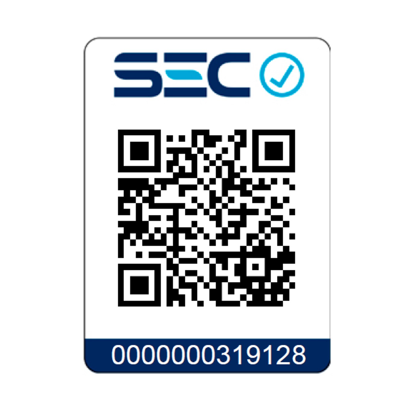 PACK GAMA ALISADOR ATTIVA + ONDULADOR 19 MM + SECADOR DIAMOND