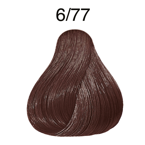 CP 60ML DP BRS 6/77 DR BL BR IN CC LAE P