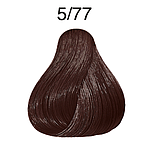 CP 60ML DP BRS 5/77 LG BR INT CC LAE P