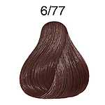 CP 60ML DP BRS 6/77 DR BL BR IN CC LAE P