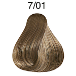 CP 60ML PR NT 7/01 MD BL NT ASH CC LAE P