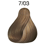 CP 60ML PR NT 7/03 MED BL NT GL CC LAE P