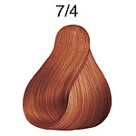 CP 60ML VB REDS 7/4 MED BLD RED CC LAE P