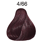 CP 60ML VB REDS 4/66 MDBR IN VL CC LAE P