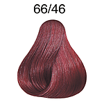 CP 60ML VB REDS 66/46 DRB RDVL CC LAE P