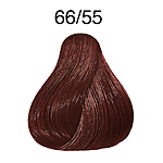 CP 60ML VB REDS 66/55 DRB IN MH CC LAE P