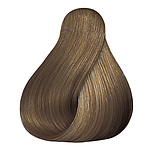 CP 60ML DP BRS 88/71 LGB IN BR CC LAE P