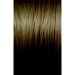 ILLUMINA 7/81 - 60ML LAEP