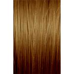 ILLUMINA 8/ - 60ML LAEP