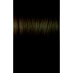 ILLUMINA 5/81 - 60ML LAEP