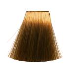 SC 60ML WARM NATURALS  8/03