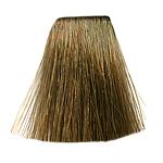 SC 60ML BROWNS /BEIGES 7/7