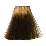 SC 60ML BROWNS /BEIGES  8/13