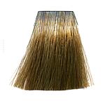 SC 60ML BROWNS /BEIGES 8/7