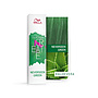 CF NEVERSEEN GREEN 60ML