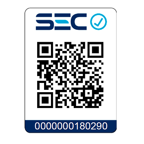 PACK GAMA ALISADOR ATTIVA + ONDULADOR 19 MM + SECADOR DIAMOND